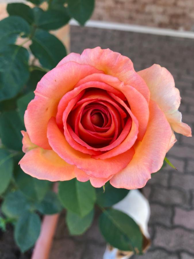 بولسينا B&B Anna المظهر الخارجي الصورة