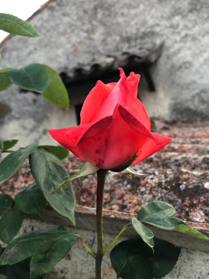 بولسينا B&B Anna المظهر الخارجي الصورة